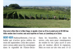 thumbnail_Martin-BACQUAERT