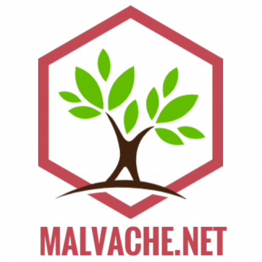 Les Malvache au fil du temps