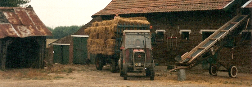 Les Malvache au fil du temps