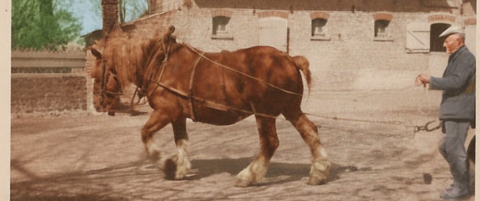 Les Malvache au fil du temps