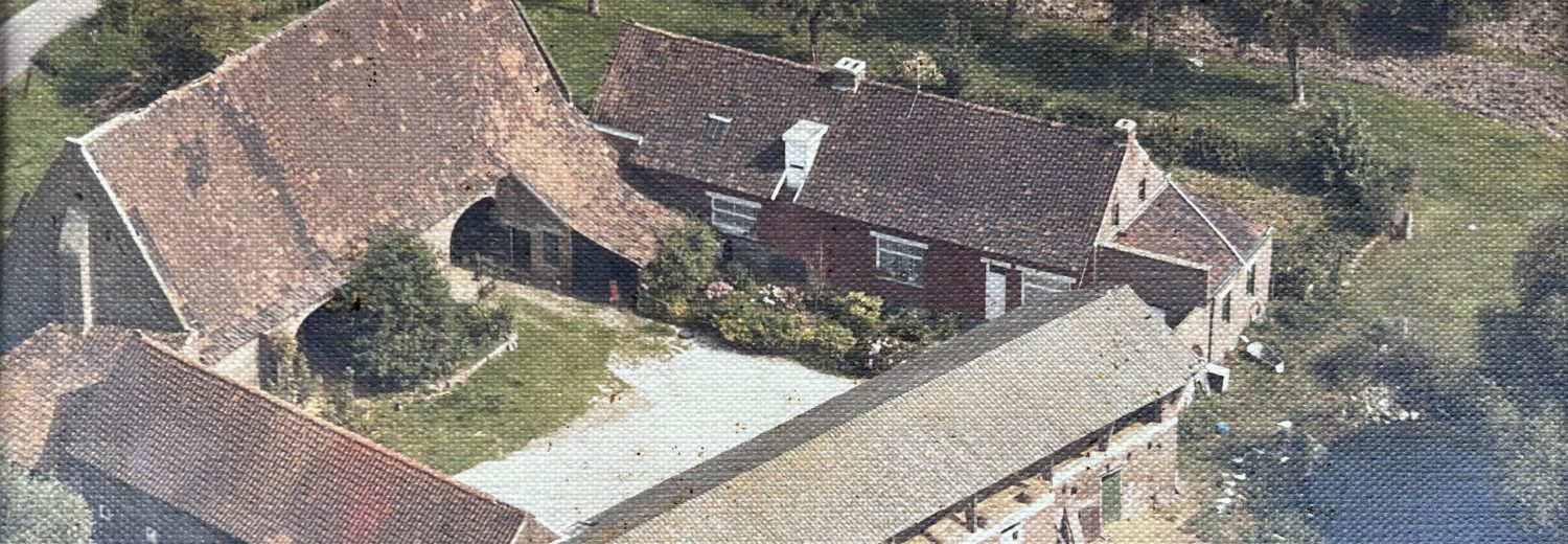 Les Malvache au fil du temps