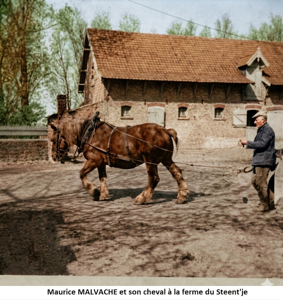 Les Malvache au fil du temps
